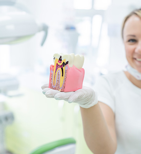 Why Might I Need Treatment from a Santa Maria Root Canal Dentist in Santa Maria Image.
